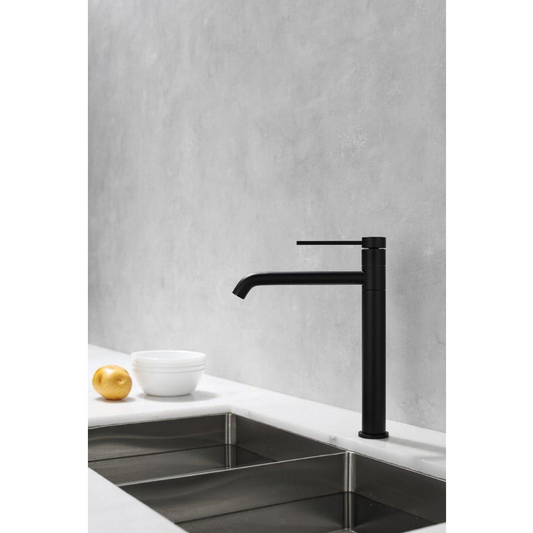 Kitchen faucet w/adjustable faucet - Black